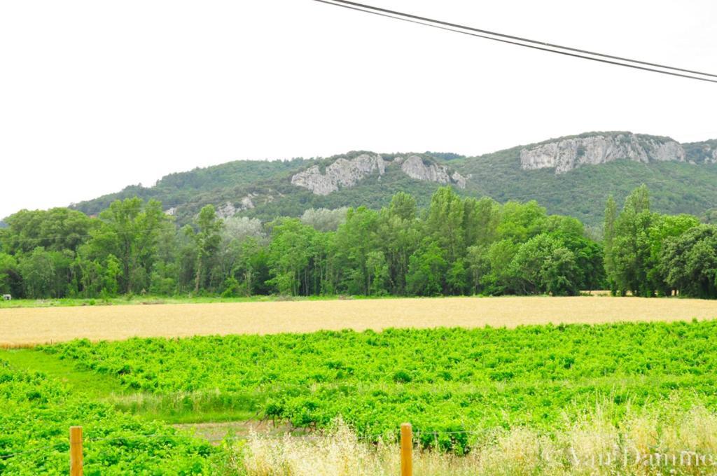 Gites Du Domaine Des Dames Vallon-Pont-dʼArc Εξωτερικό φωτογραφία