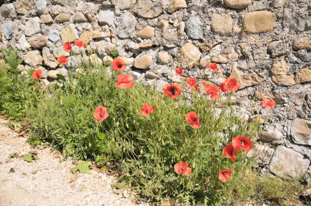 Gites Du Domaine Des Dames Vallon-Pont-dʼArc Δωμάτιο φωτογραφία